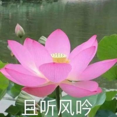 “三省吾身”学党纪（人民论坛）